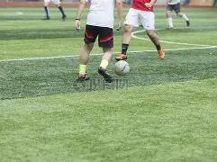 年必中秘籍,福彩,期独门精选,天津体彩,天津体彩网,天津体彩网官网,体育彩票,体彩大乐透,竞彩足球,体彩公益